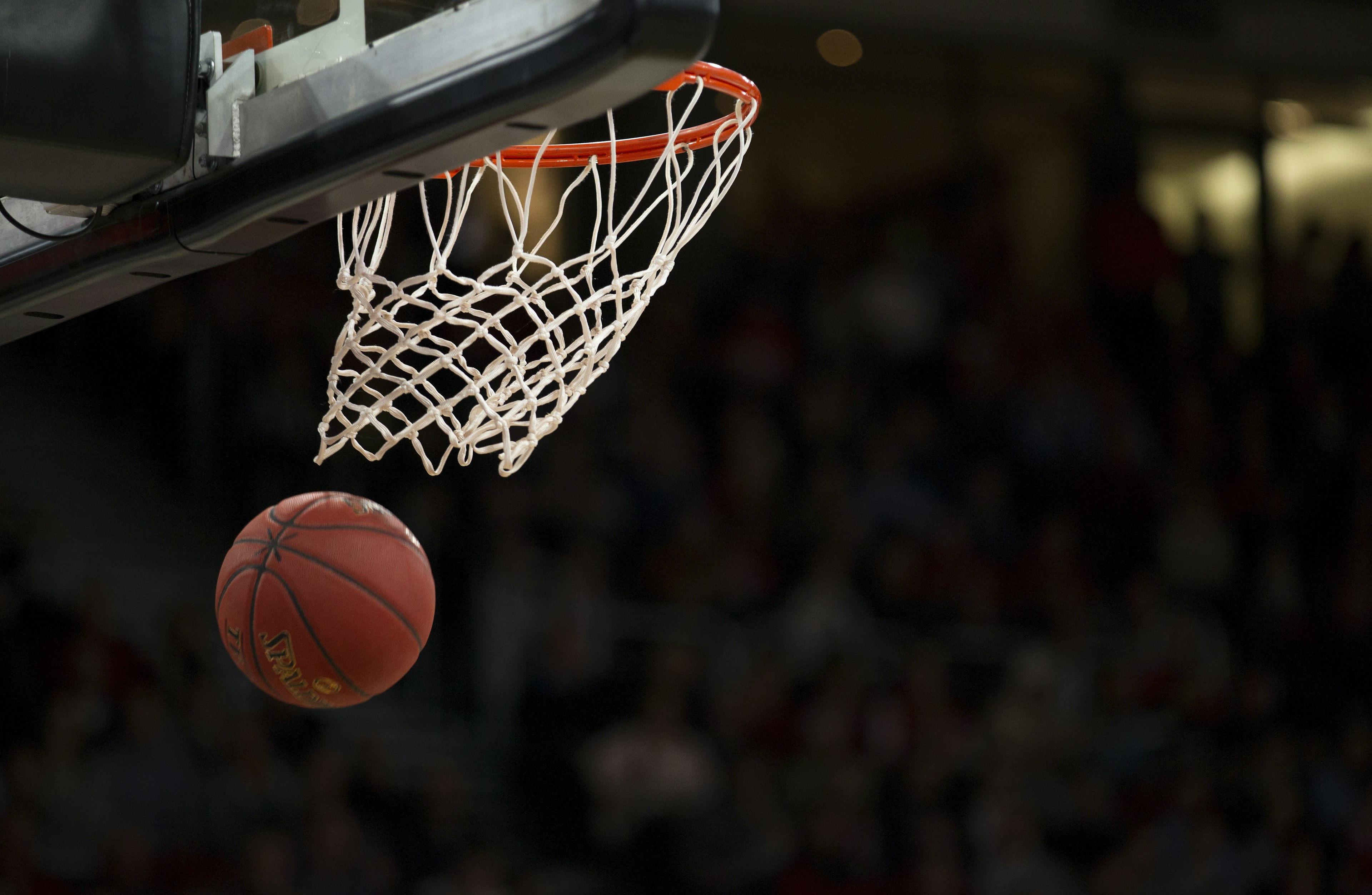 Basketball silhouette — All-Nets Foundation